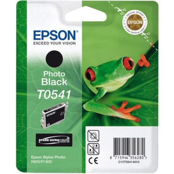 Epson T0541 Siyah Kartuş