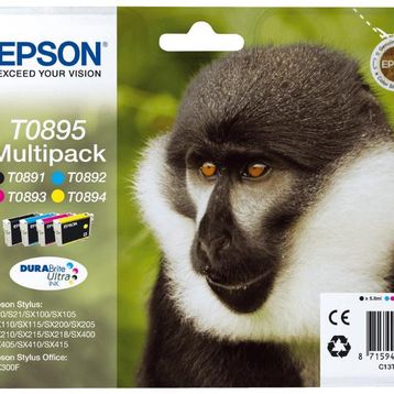 Epson T0895-C13T08954020 Kartuş