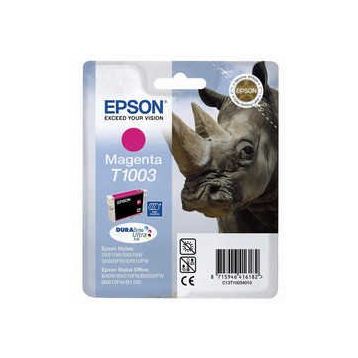Epson T10034020 Kartuş
