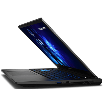 Erazer Defender 17 P1 MD600010 i7-13620H 32GB RAM 2TB SSD RTX 5060 FreeDOS 17.3 inç Oyun Bilgisayarı