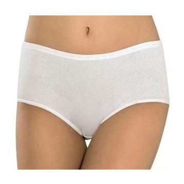Erdem 2500 6'lı Bayan Külot
