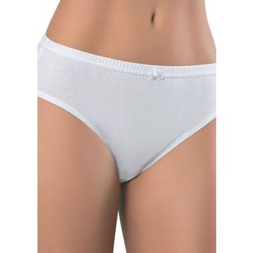 Erdem 2501 6'lı Bayan Külot