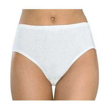 Erdem 2501 6'lı Bayan Külot