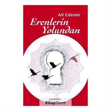 Erenlerin Yolundan - Ali Edemir