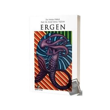 Ergen Haydeh Faraji Ahmet Ertan Tezcan