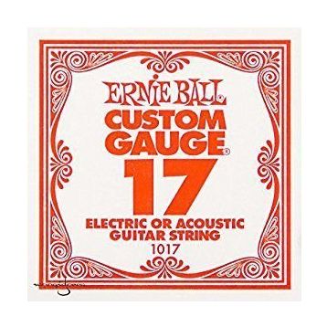 Ernie Ball P01017 .017 Gitar Tek Teli