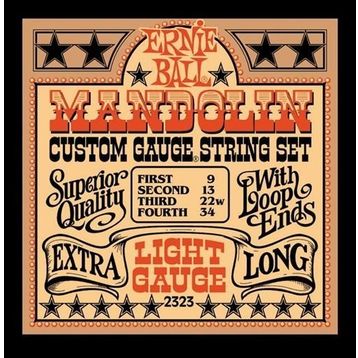 Ernie Ball P01820 .020 Earthwood Fosfor Bronz Sargılı Akustik Tek Tel