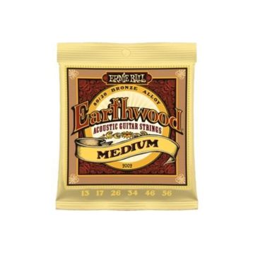 Ernie Ball P02002 Akustik Gitar Tel Seti