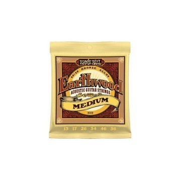 Ernie Ball P02002 Akustik Gitar Tel Seti