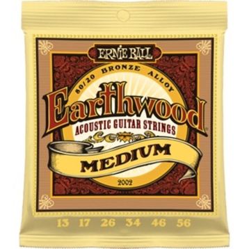 Ernie Ball P02002 Akustik Gitar Tel Seti