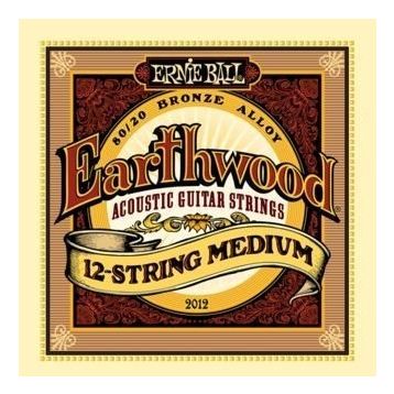 Ernie Ball P02012 12 Telli Akustik Gitar Teli