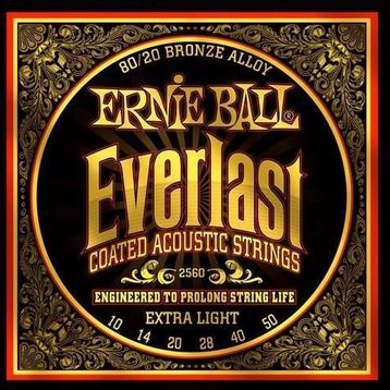 Ernie Ball P02560 Akustik Gitar Tel Seti