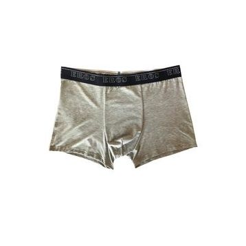 Eros Gri Erkek Boxer