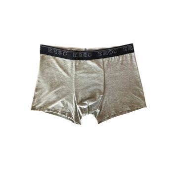 Eros Gri Erkek Boxer