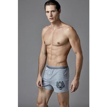 Eros Gri Erkek Boxer