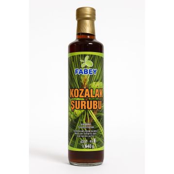 Esfabey 500 ml Kozalak Şurubu