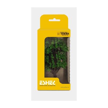 Eshel 10 cm 1 Adet Okaliptüs Ağacı