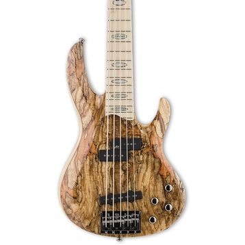 ESP Ltd RB-1005SM Bass Gitar