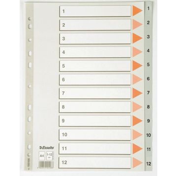 Esselte 1001 A4 1-12 Rakam Gri Seperatör