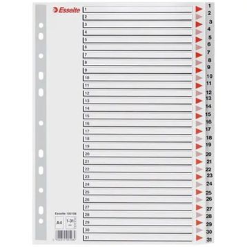 Esselte A4 1-31 Rakam Dosya Ayracı