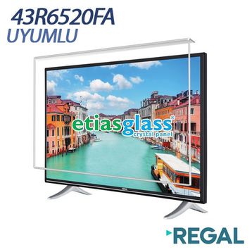 Etiasglass Regal 43R6520F Ekran Koruyucu