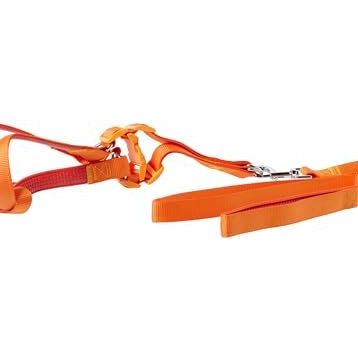 Euro Dog Turuncu 25 mm 120 cm Köpek Uzatma Tasması ve Göğüs Tasması Takımı
