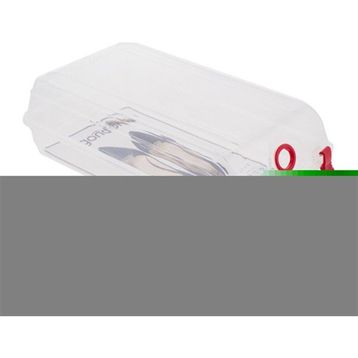 Euro Flora BZEFL67548 Lady 32x19x10 cm Kadın Ayakkabı Kutusu