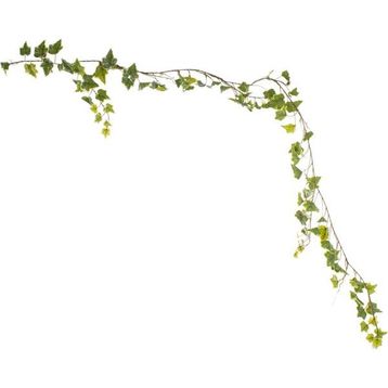 Euro Flora Yapay Sarmaşık 180cm