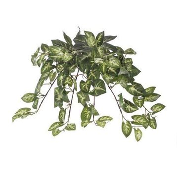 Euro Flora Yapay Sarmaşık Sygonıum Demet 42cm