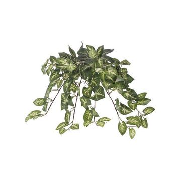 Euro Flora Yapay Sarmaşık Sygonıum Demet 42cm