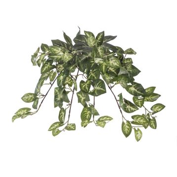Euro Flora Yapay Sarmaşık Sygonıum Demet 42cm