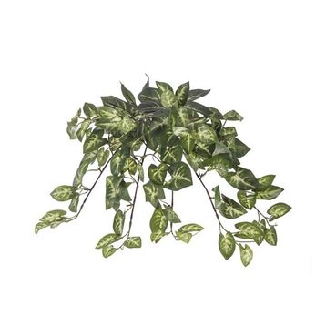 Euro Flora Yapay Sarmaşık Sygonıum Demet 42cm