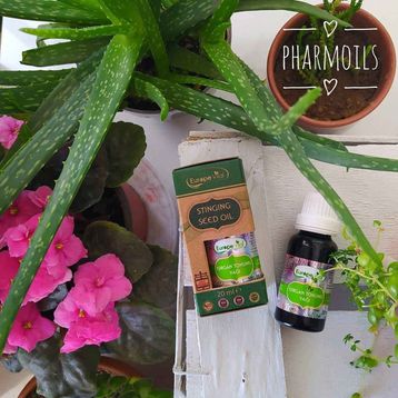 Europe Vital 20 ml Isırgan Tohumu Yağı