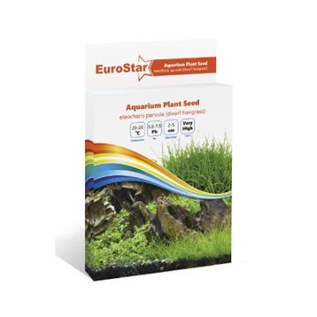 Eurostar Eleocharis Parvula Bitki Tohumu