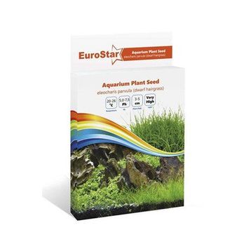 Eurostar Eleocharis Parvula Bitki Tohumu