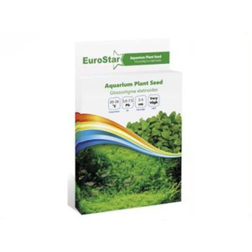Eurostar Glossostigma Elatinoides Bitki Tohumu