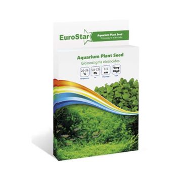 Eurostar Glossostigma Elatinoides Bitki Tohumu