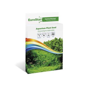Eurostar Glossostigma Elatinoides Bitki Tohumu
