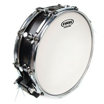 Evans B12G1RD 12 inç Trampet Derisi