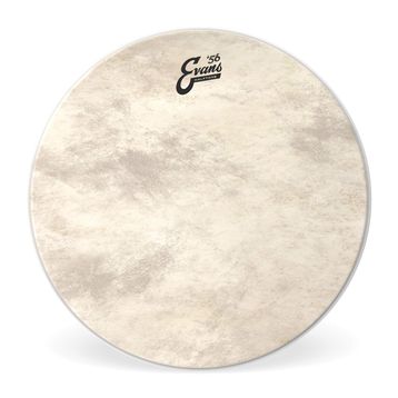 Evans BD16CT 16 inç Kick Derisi