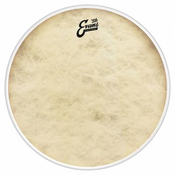 Evans BD16CT 16 inç Kick Derisi