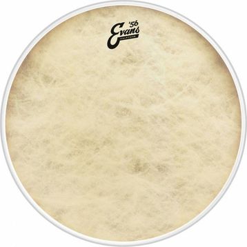 Evans BD16CT 16 inç Kick Derisi