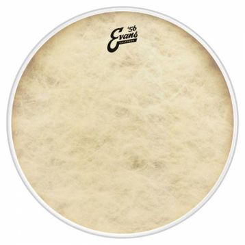 Evans BD16CT 16 inç Kick Derisi