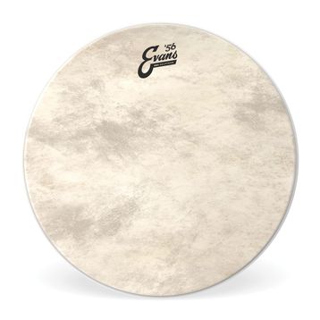 Evans Bd16Gb4Ct 16 inç Kick Derisi