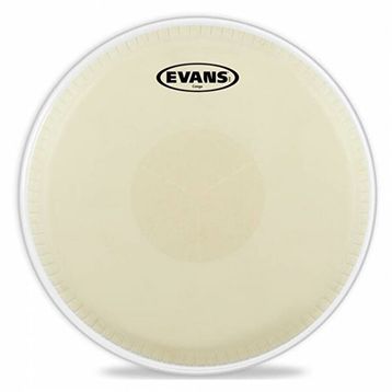 Evans EC1175E Conga Derisi