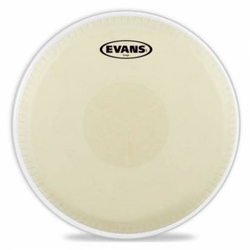Evans EC1175E Conga Derisi