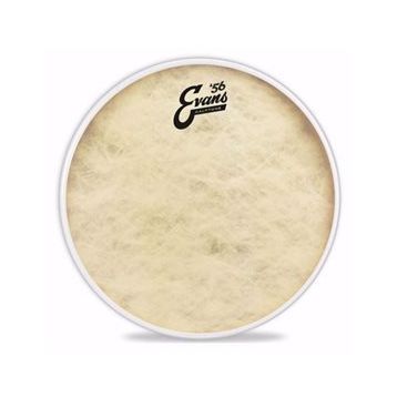 Evans TT10C7 10'' Calftone Tom Deri