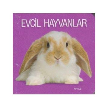 EVCIL HAYVANLAR - WILFRIED CARSTENS