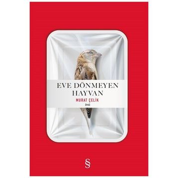 Eve Dönmeyen Hayvan - Murat Çelik