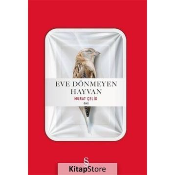 Eve Dönmeyen Hayvan - Murat Çelik